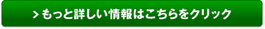 ノコギリヤシ販売サイトへ